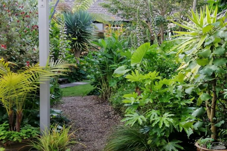 Photo of property in 52 Hine Street, New Plymouth, 4310