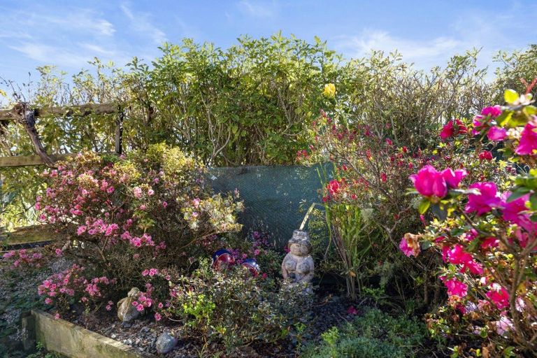 Photo of property in 7 Davies Street, Paeroa, 3600