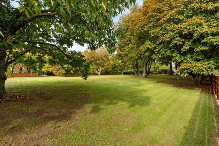 Photo of property in 59a Western Avenue, Omokoroa, 3114