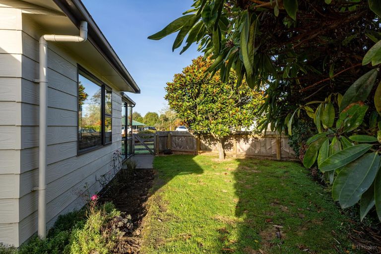 Photo of property in 11 Williamson Place, Geraldine, 7930