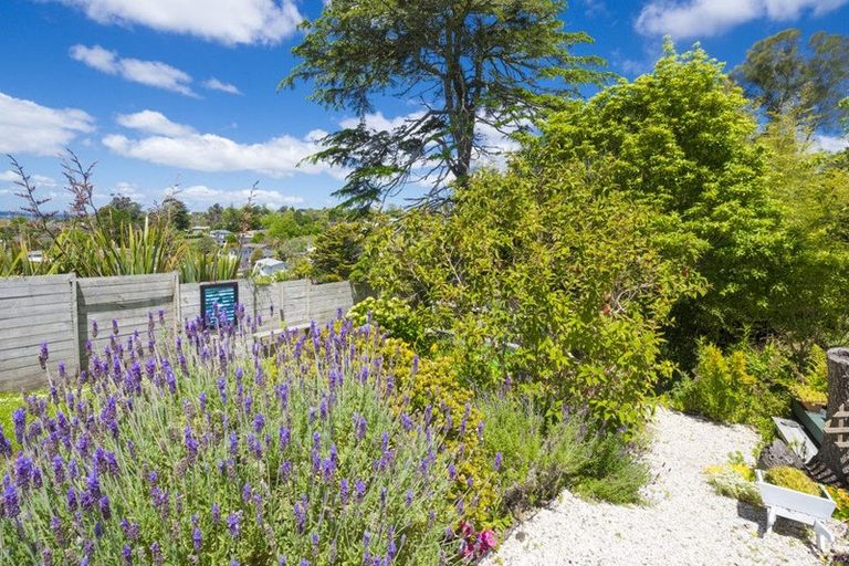 Photo of property in 319 Don Buck Road, Massey, Auckland, 0614