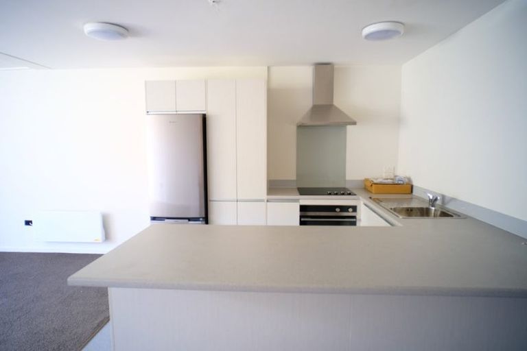 Photo of property in Te Awhina Apartments, 22u9 Sussex Street, Mount Cook, Wellington, 6021