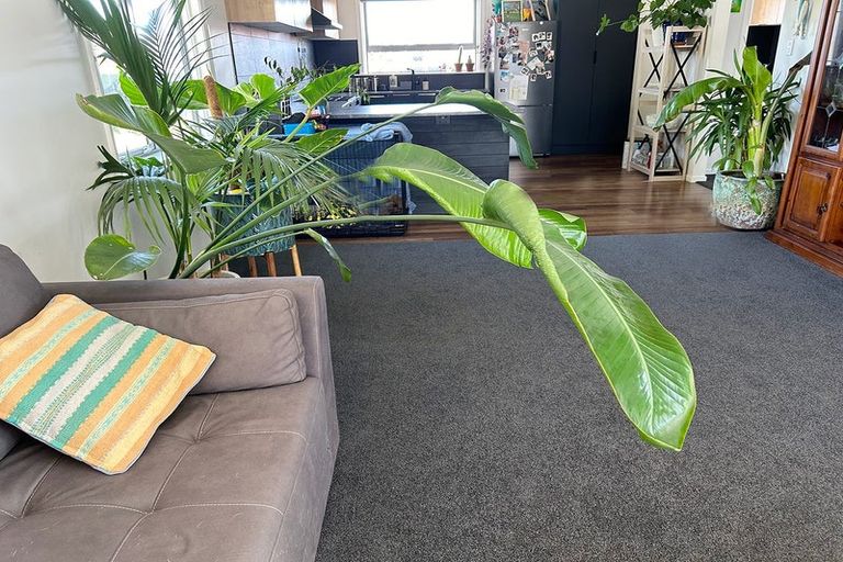 Photo of property in 3 Ostler Place, Hoon Hay, Christchurch, 8025