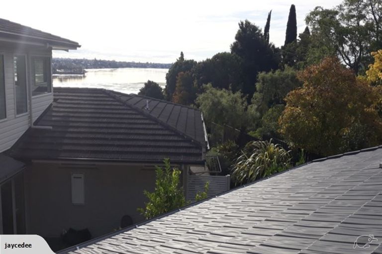 Photo of property in 214a Maungatapu Road, Maungatapu, Tauranga, 3112