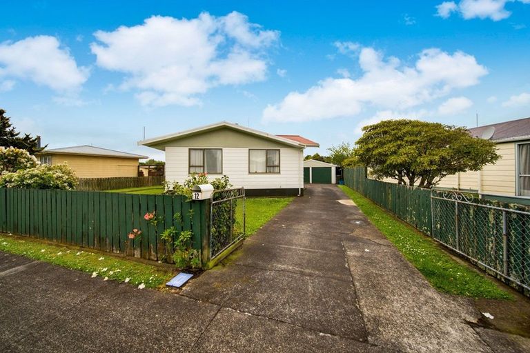 Photo of property in 12 Exeter Street, Stratford, 4332