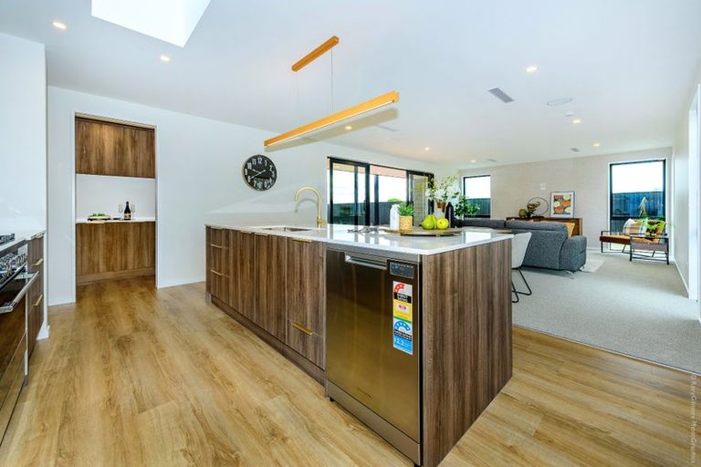 Photo of property in 87 Whitehorn Drive, Lincoln, 7608