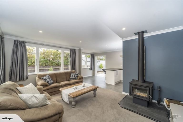 Photo of property in 119 Colombo Road, Masterton, 5810