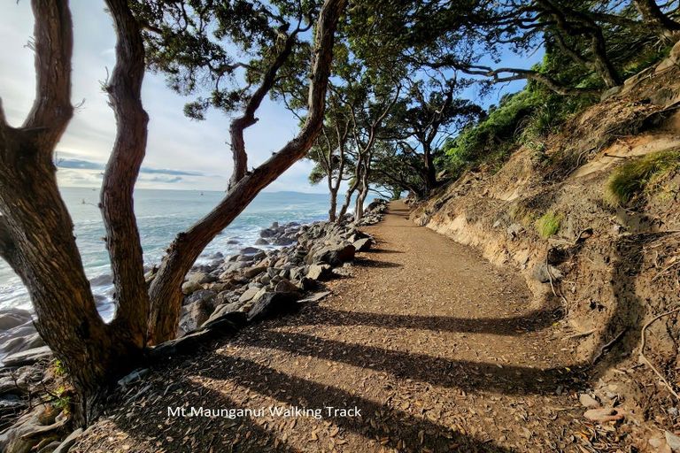 Photo of property in 4/281 Maunganui Road, Mount Maunganui, 3116