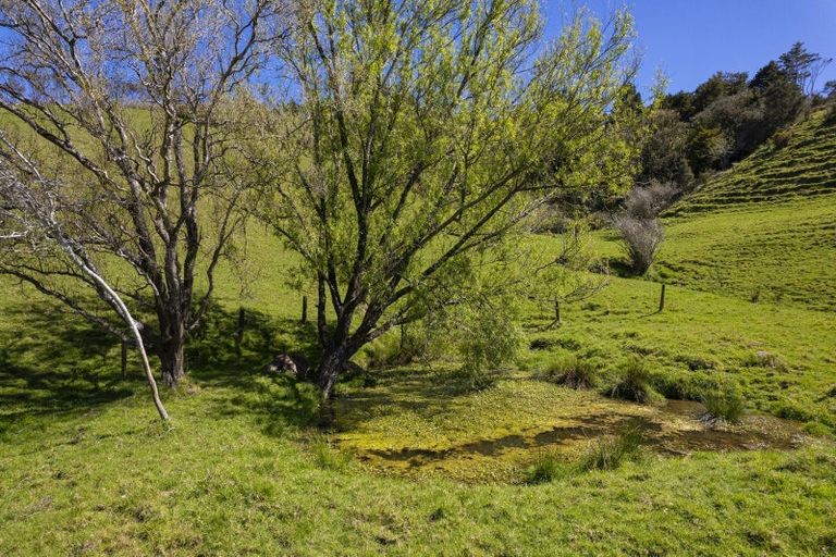 Photo of property in 3b Greenpath Lane, Hurworth, New Plymouth, 4310