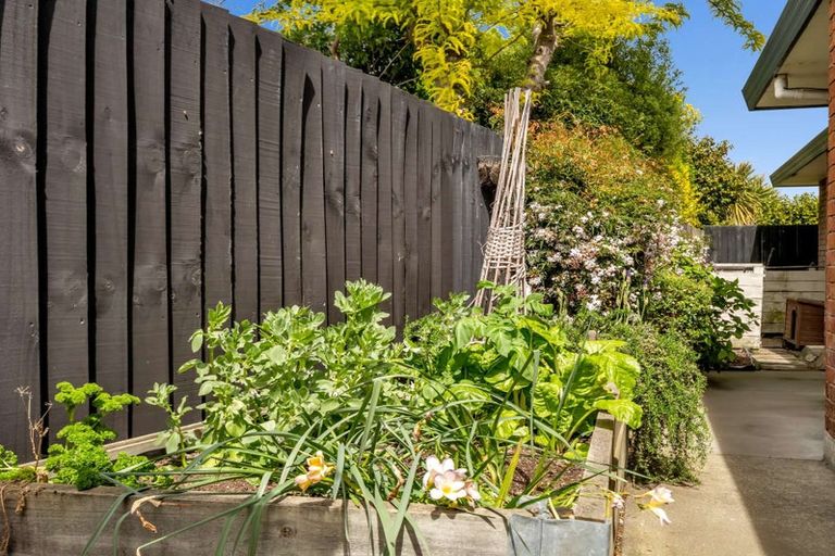 Photo of property in 8 Stable Way, Belfast, Christchurch, 8051