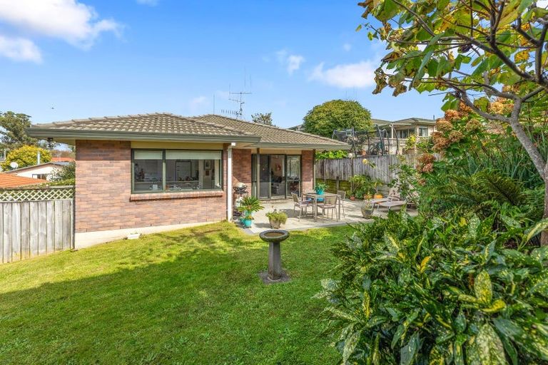Photo of property in 19 Tuthill Street, Gate Pa, Tauranga, 3112
