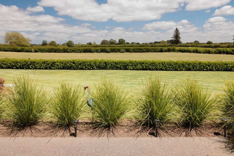 Photo of property in 9 Danehill Close, Matamata, 3400