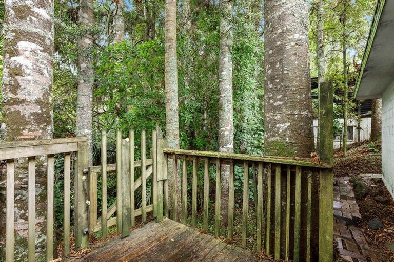 Photo of property in 19 Tainui Road, Titirangi, Auckland, 0604