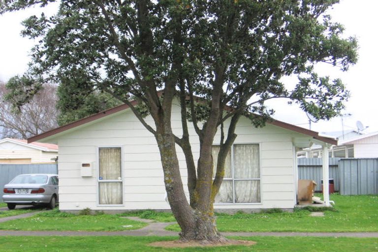 Photo of property in 31 Grenville Street, Levin, 5510