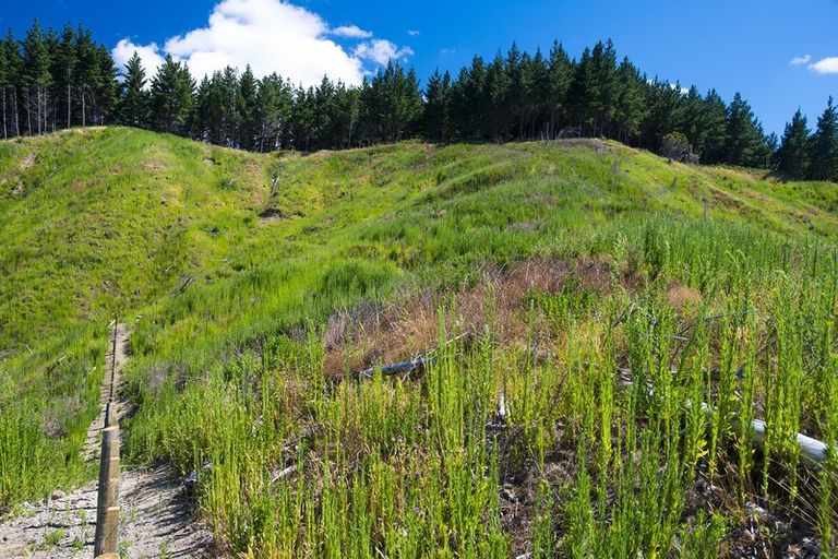 Photo of property in 242 Riverside Road, Whataupoko, Gisborne, 4010