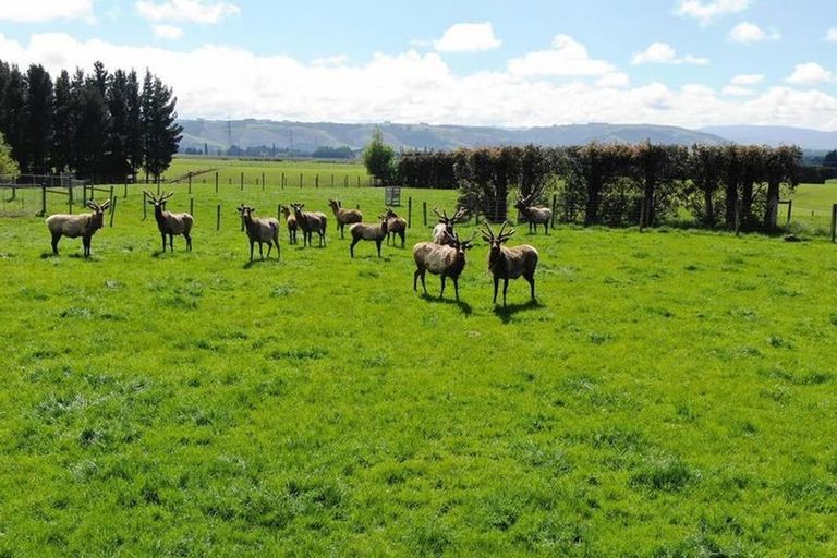 Photo of property in 68 Currie Road, Woodside, Outram, 9073