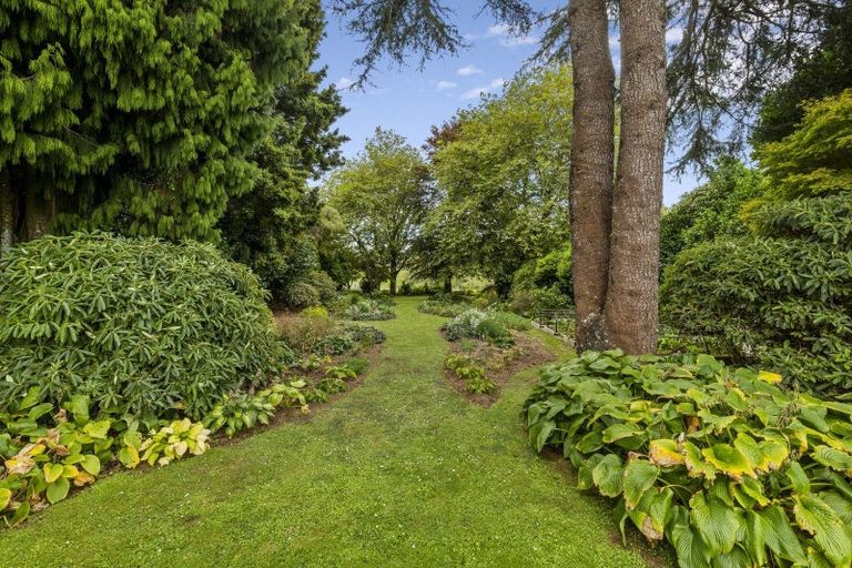 Photo of property in 10 Olivia Street, Stratford, 4332