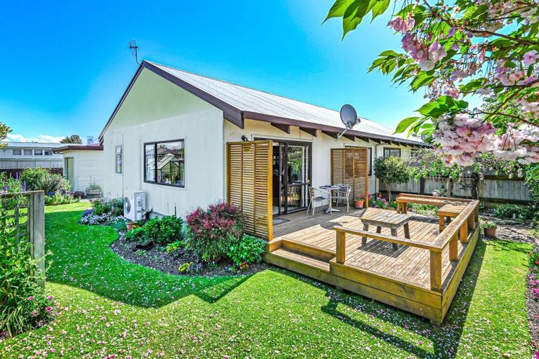 Photo of property in 2 Alexandra Street, Parkvale, Hastings, 4122