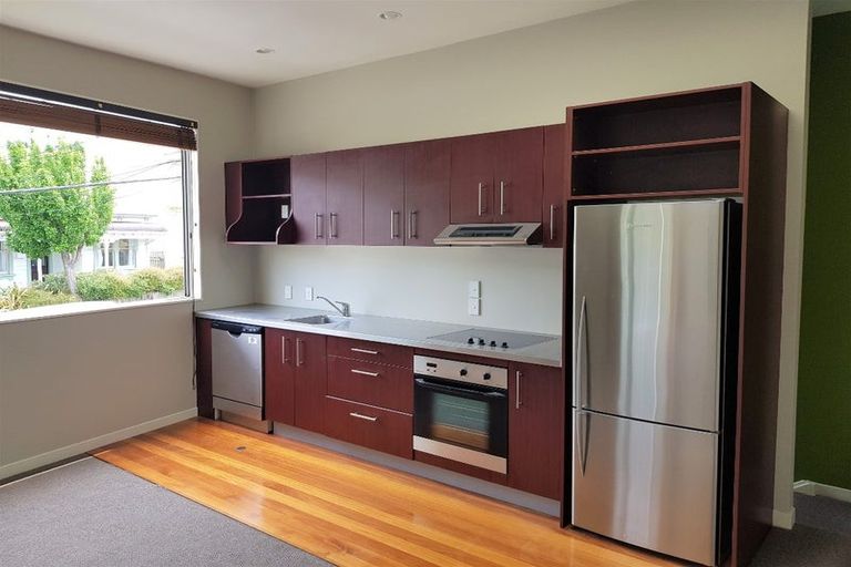 Photo of property in 203 Tasman Street, Mount Cook, Wellington, 6021