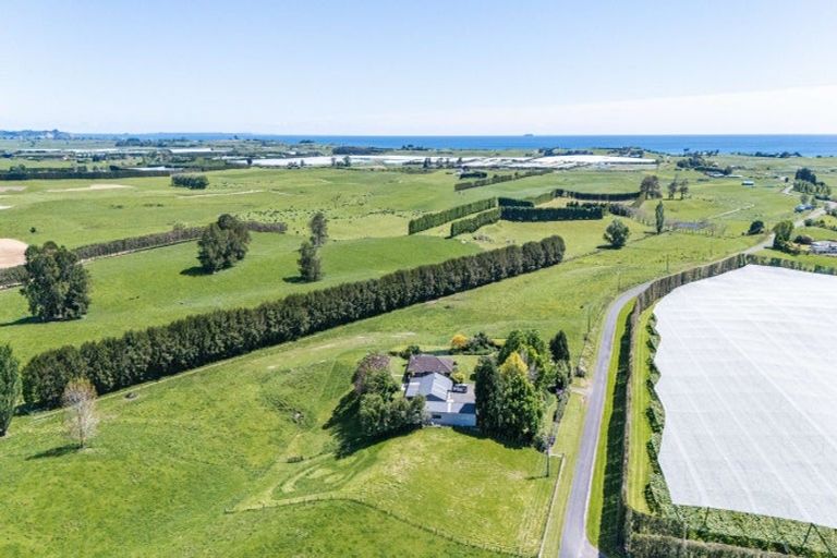 Photo of property in 154 Ohinepanea Road, Pukehina, Te Puke, 3186