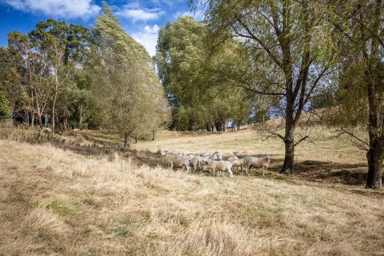 Photo of property in 97c Ireland Road, Waipawa, 4277