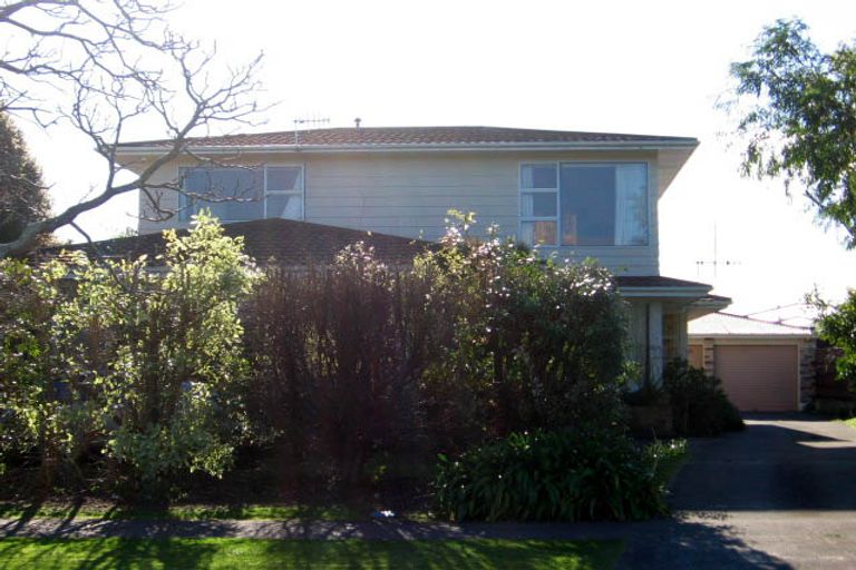 Photo of property in 99 Dittmer Drive, West End, Palmerston North, 4412
