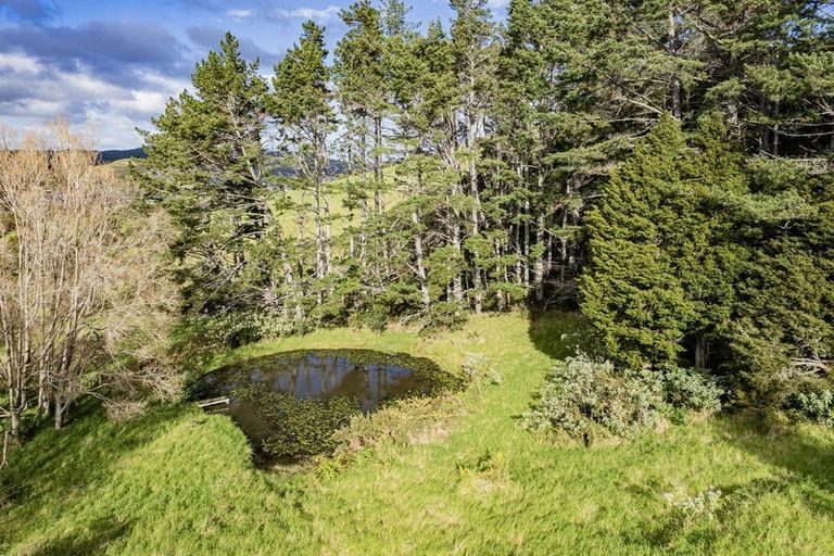 Photo of property in 25 Mountain View Road, Hikurangi, 0114