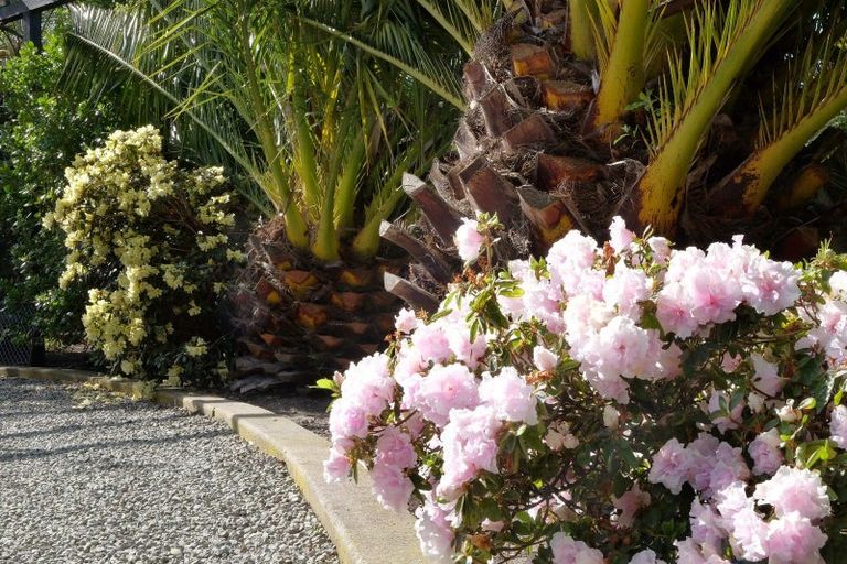 Photo of property in 245 Pukeuri-oamaru Road, Pukeuri, Oamaru, 9493