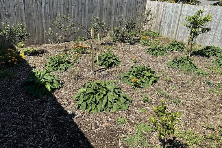 Photo of property in 6 Baker Street, Waihi, 3610