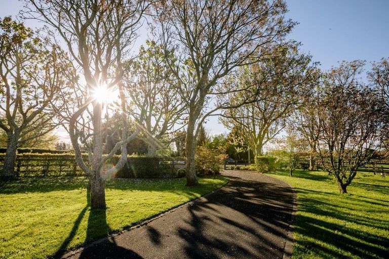 Photo of property in 76 Peake Road, Cambridge, 3493