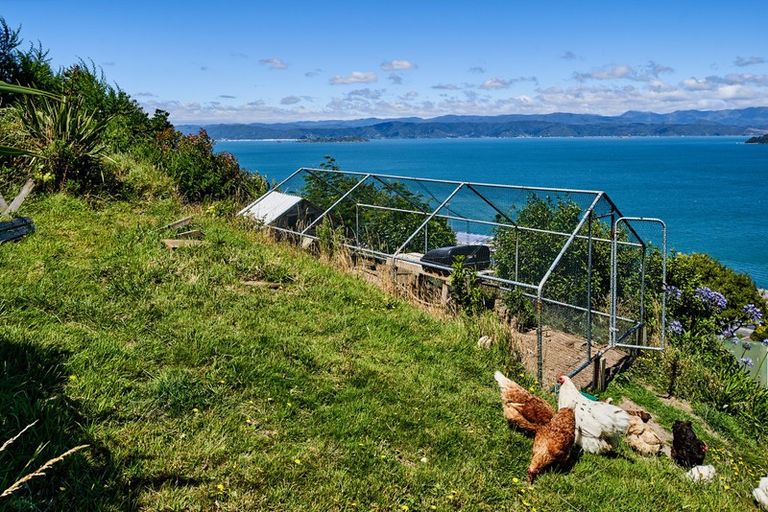 Photo of property in 137 Barnard Street, Wadestown, Wellington, 6012