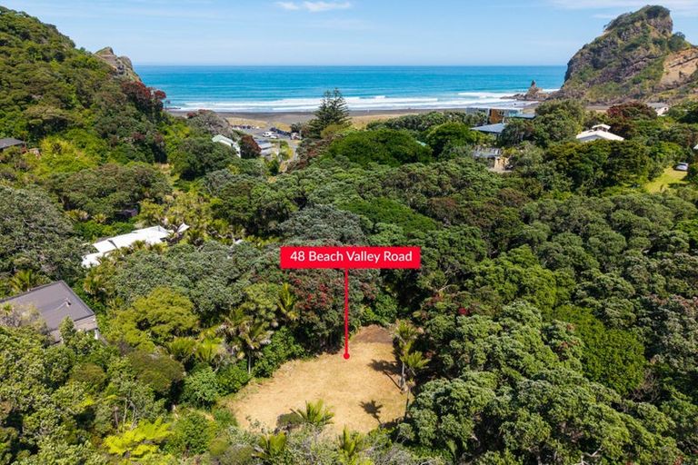 Photo of property in 48 Beach Valley Road, Piha, 0772
