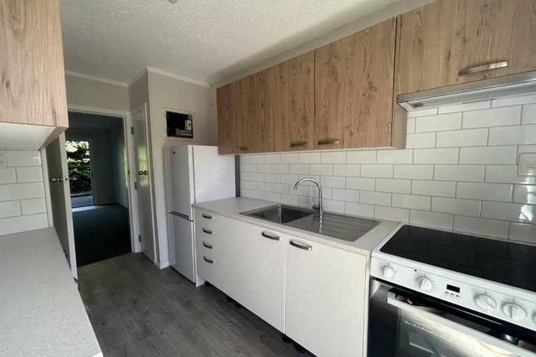 Photo of property in 6/289 Ulster Street, Whitiora, Hamilton, 3200
