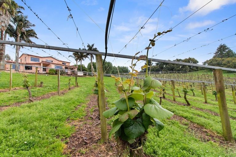 Photo of property in 6a Woodland Road, Tahawai, Katikati, 3170
