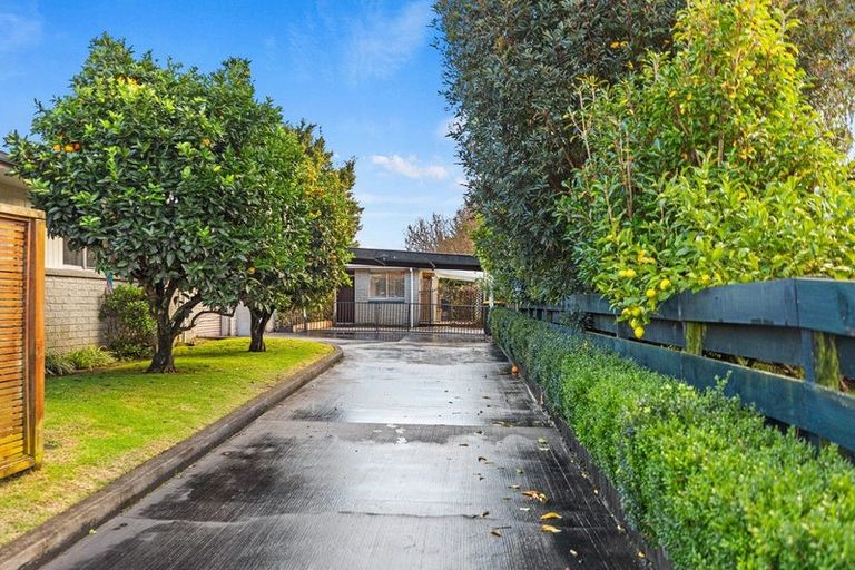 Photo of property in 16 Te Hono Street, Maungatapu, Tauranga, 3112