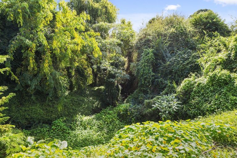 Photo of property in 54 Ashlynne Avenue, Papatoetoe, Auckland, 2025