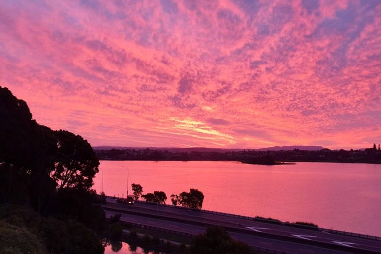 Photo of property in 146 Spring Street, Tauranga, 3110