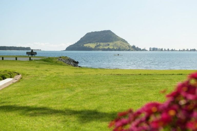 Photo of property in 91 Kulim Avenue, Otumoetai, Tauranga, 3110
