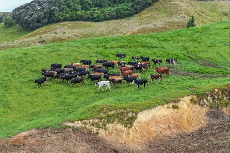 Photo of property in 880 Kopuku Road, Maramarua Forest, Te Kauwhata, 2471
