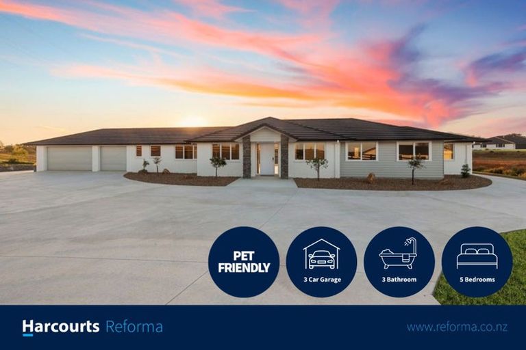 Photo of property in 18 Te Ara Aukati Terrace, Pokeno, 2471