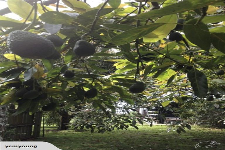 Photo of property in 6 Aileen Place, Whangamata, 3691