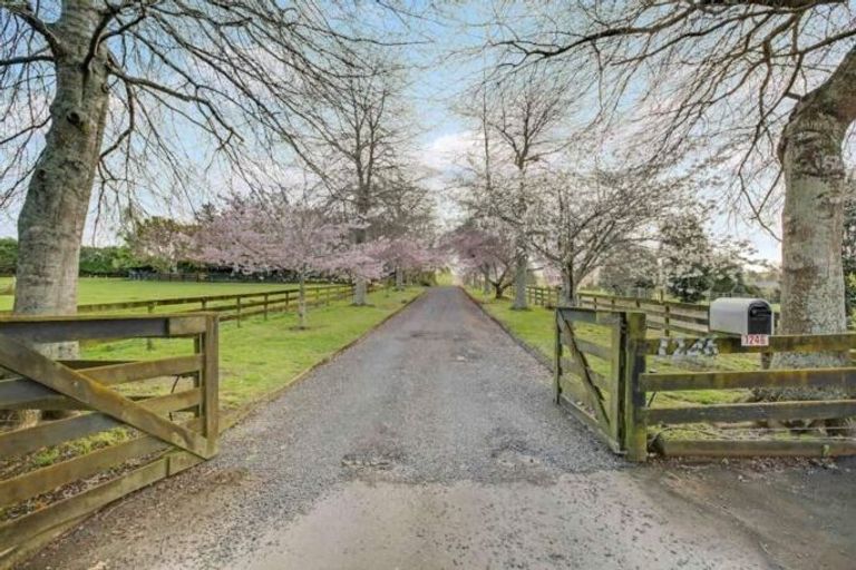 Photo of property in 1246 Paerata Road, Pukekohe, 2120
