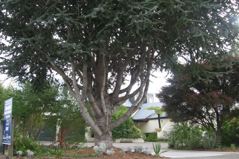 Photo of property in 98 Avondale Road, Taradale, Napier, 4112