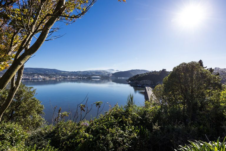 Photo of property in 20 Rewa Street, Musselburgh, Dunedin, 9013