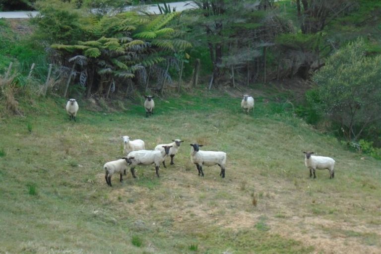 Photo of property in 43a Pinetone Road, Kumeu, 0892