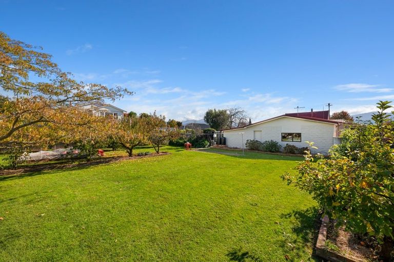 Photo of property in 19 Alma Street, Renwick, 7204