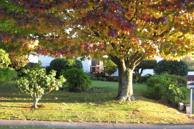 Photo of property in 12 Kotuku Place, Tokoroa, 3420