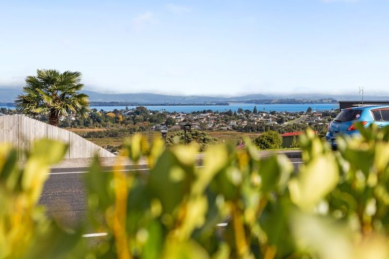 Photo of property in 343 Otumoetai Road, Otumoetai, Tauranga, 3110
