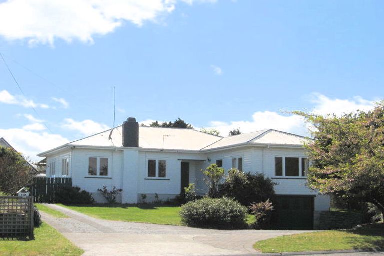 Photo of property in 210 Tamamutu Street, Taupo, 3330