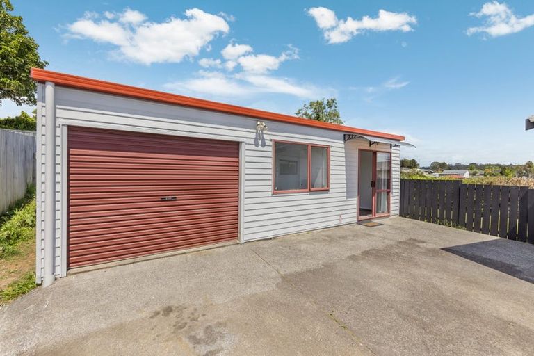 Photo of property in 54 Hinerau Street, Henderson, Auckland, 0612